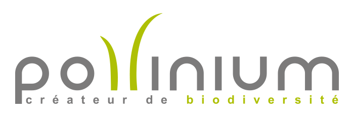 POLLINIUM